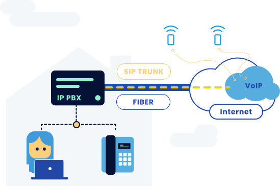 ip sip trunk